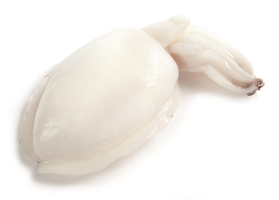 Krustasur IQF cuttlefish