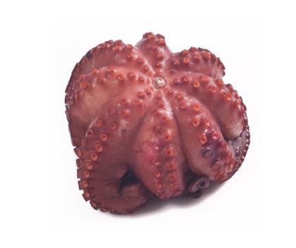 Pulpo cocido entero