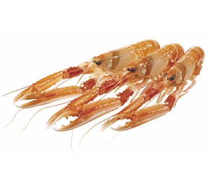 Red_Cigala entera cruda