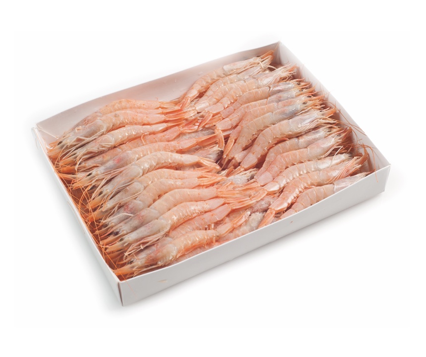 Gamba blanca turca cruda entera