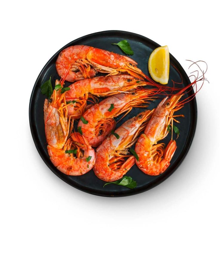 Argentine Red Shrimp: Processing and Distribution challenges in the Global Market