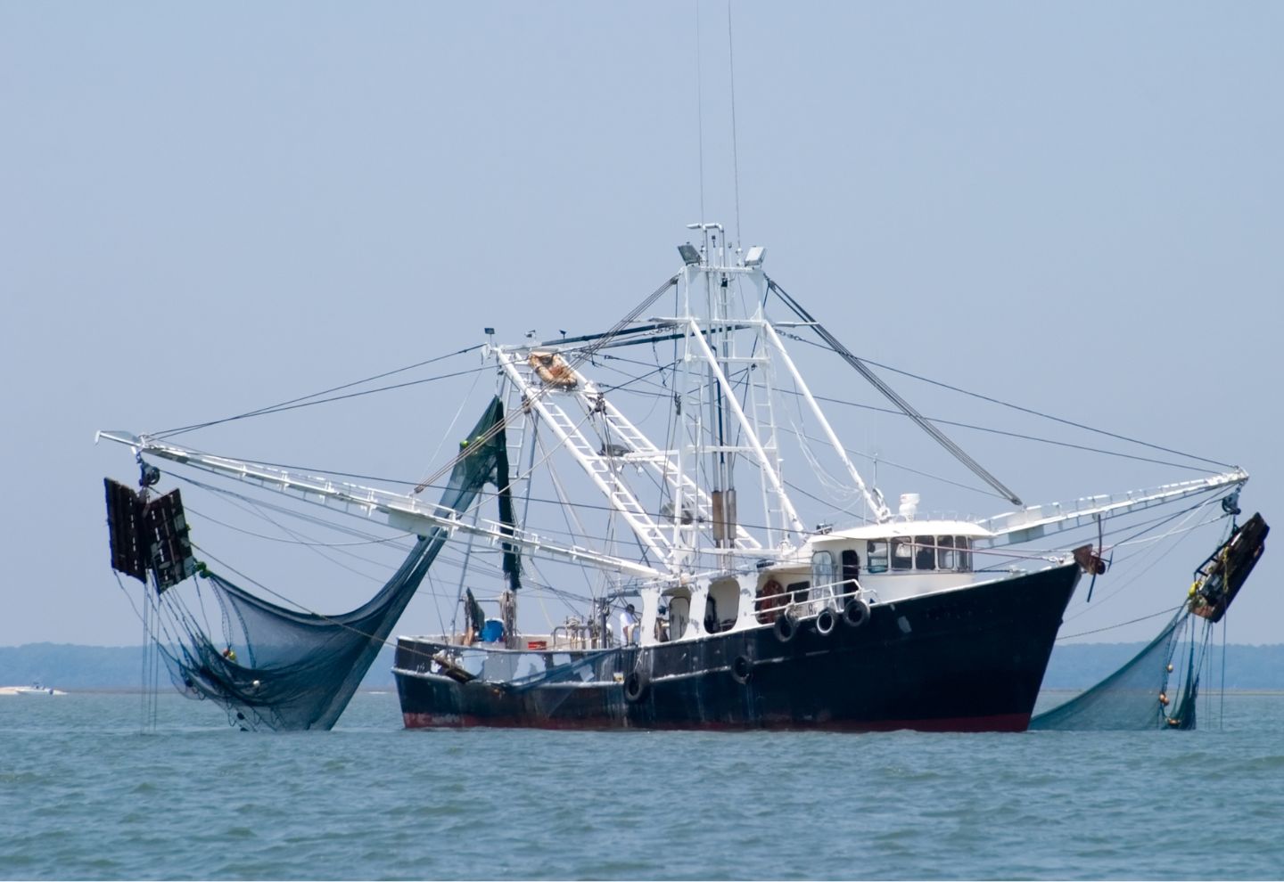 Todo lo que debes saber sobre la pesca salvaje frente a la acuicultura