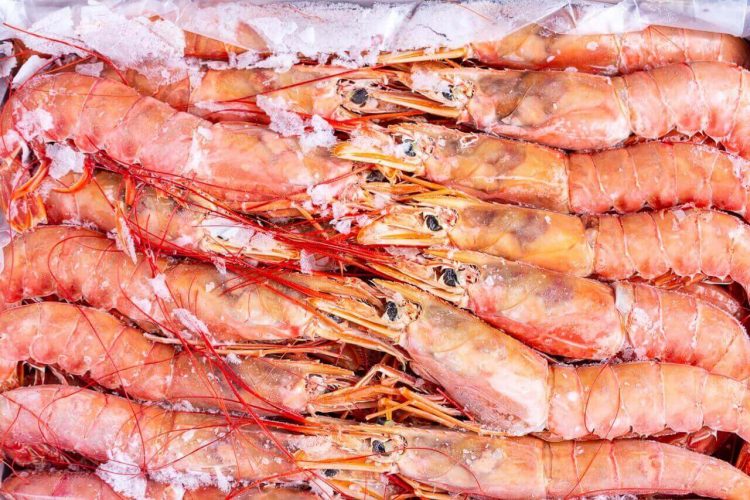 Argentine Red Shrimp: Processing and Distribution challenges in the Global Market
