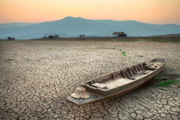 ¿Cómo afecta el cambio climático a la pesca de mariscos?