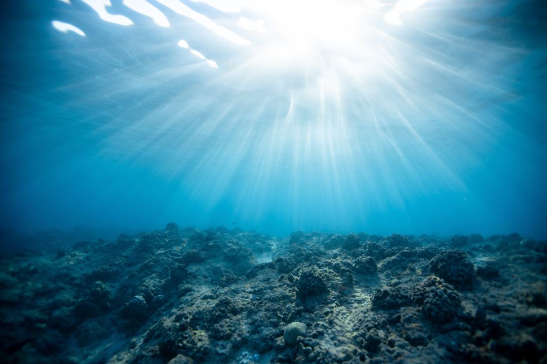 8 de junio, día mundial de los océanos. Conoce las mejore prácticas sostenibles.