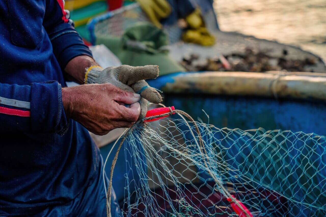 datos y tendencias de la actividad pesquera en españa