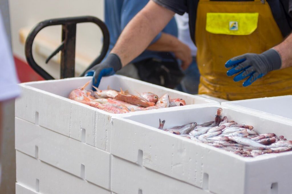 Guía sobre la conservación de pescados y mariscos