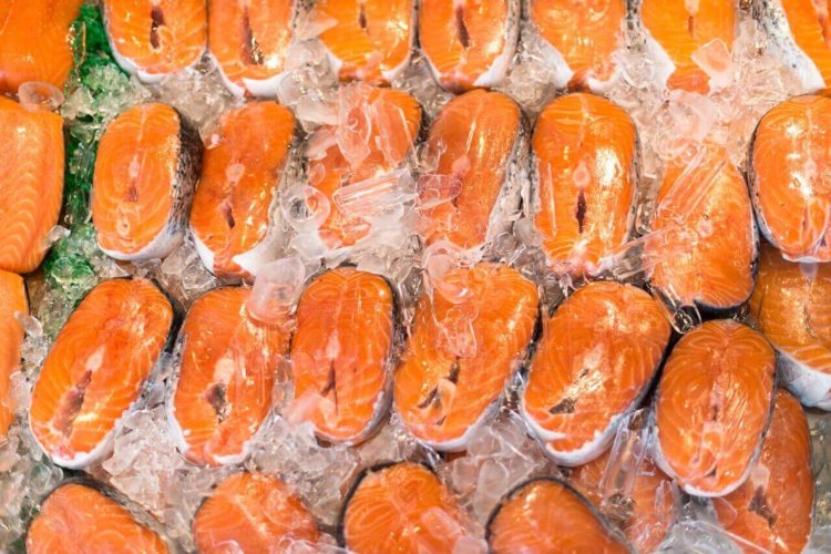 Los tipos de salmón más comercializados: Salar y Coho