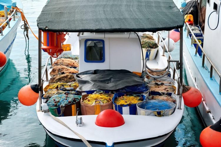 How live Seafood Transportation works