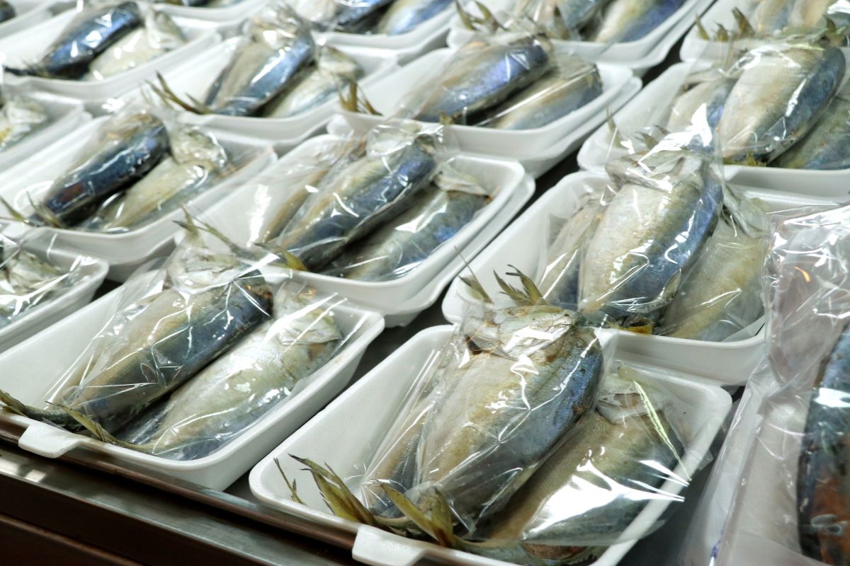 Embalaje sostenible para pescado, soluciones ecológicas